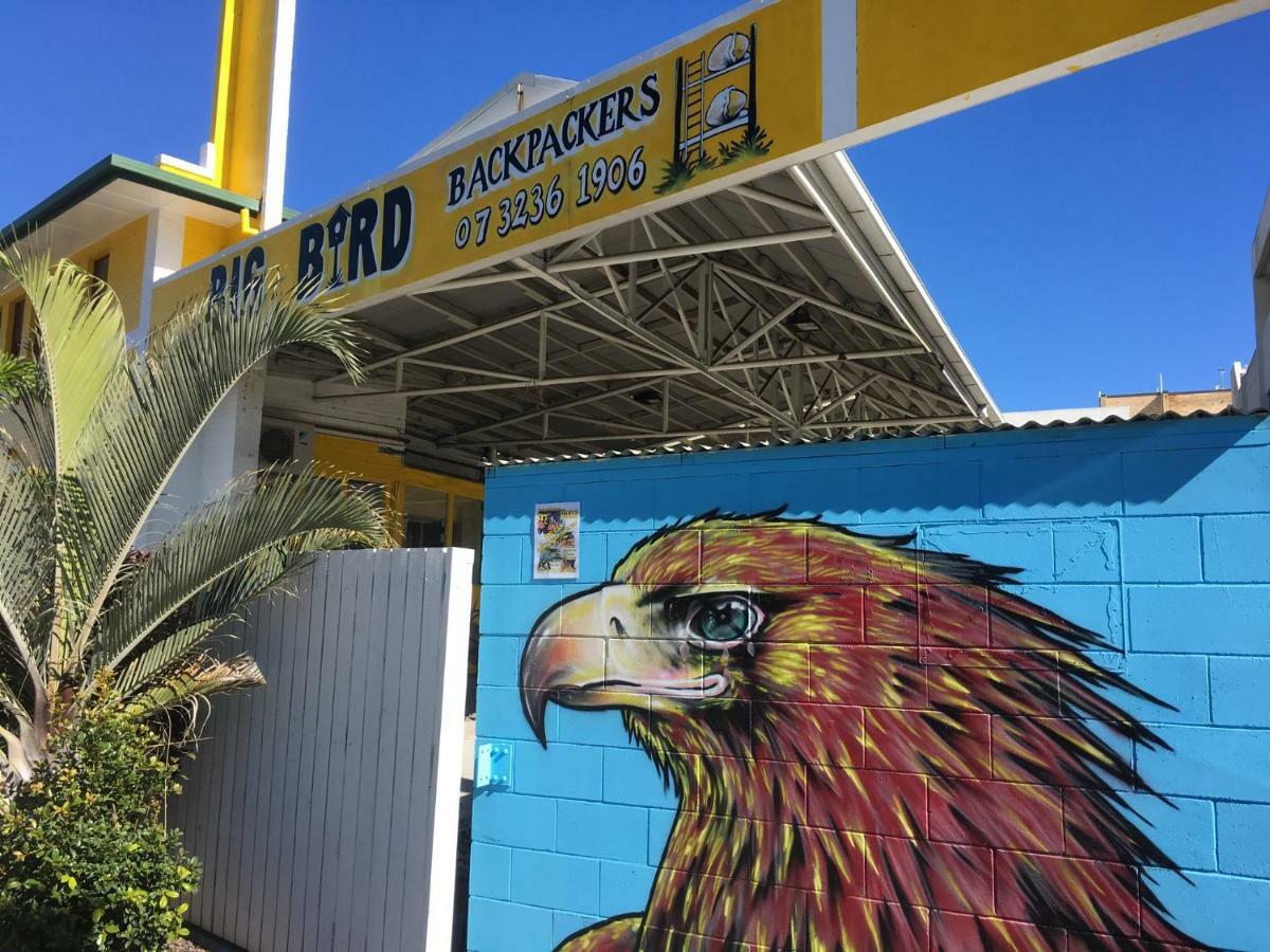 Big Bird Backpackers Vandrerhjem Brisbane Eksteriør bilde